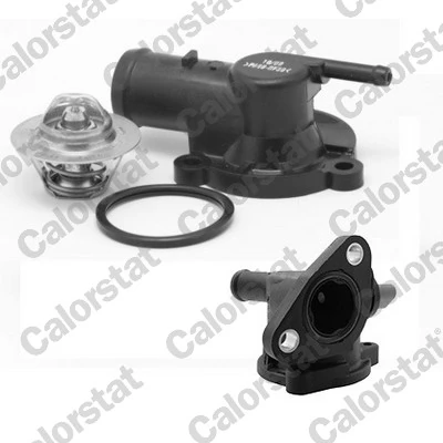 Thermostat, coolant